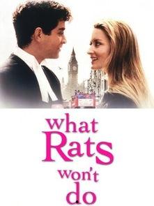 法庭妙冤家,妙冤家背后的法律传奇