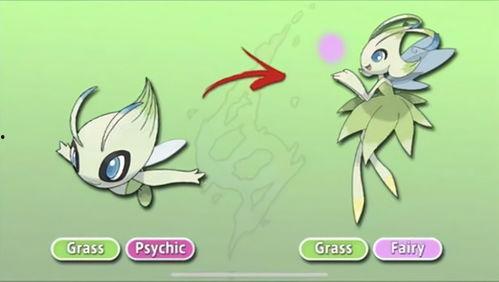 精灵宝可梦：时拉比 穿越时空的相遇,时拉比与伙伴们的时空冒险之旅